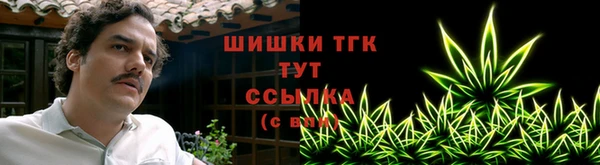 крисы Долгопрудный