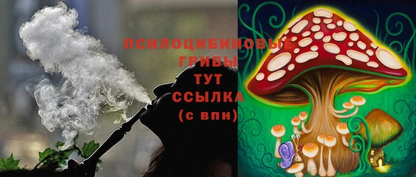 2c-b Надым