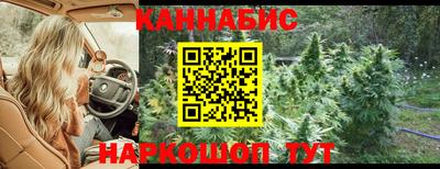 прущие грибы Абинск
